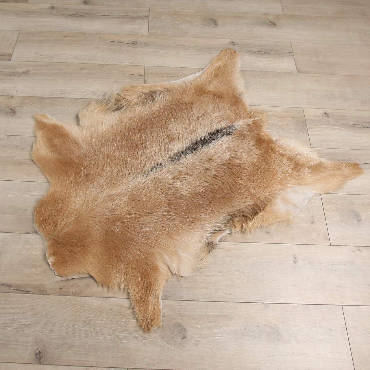 Orginal Genuine Animal Hide Rug, Animal Skin Rug