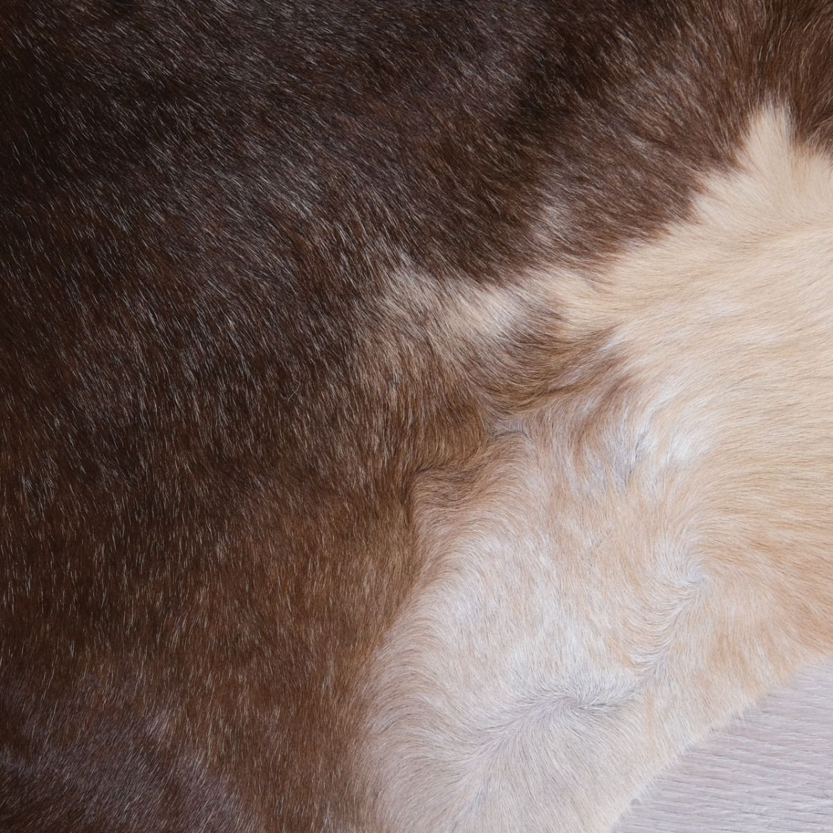 Orginal Genuine Animal Hide Rug, Animal Skin Rug
