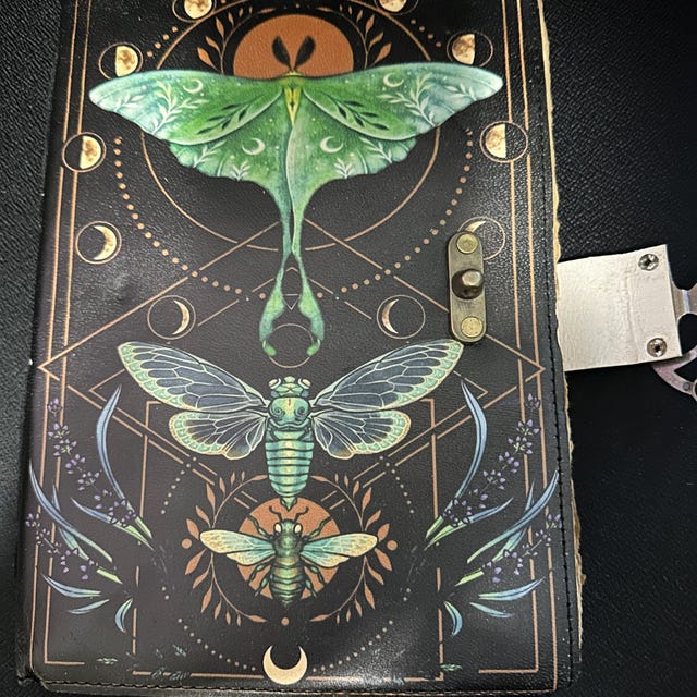 Blank Spell Book of Shadows Luna Moth vintage leather Journal Witchcraft Supplies Moth Decor and Morpho Butterfly best gift for him her