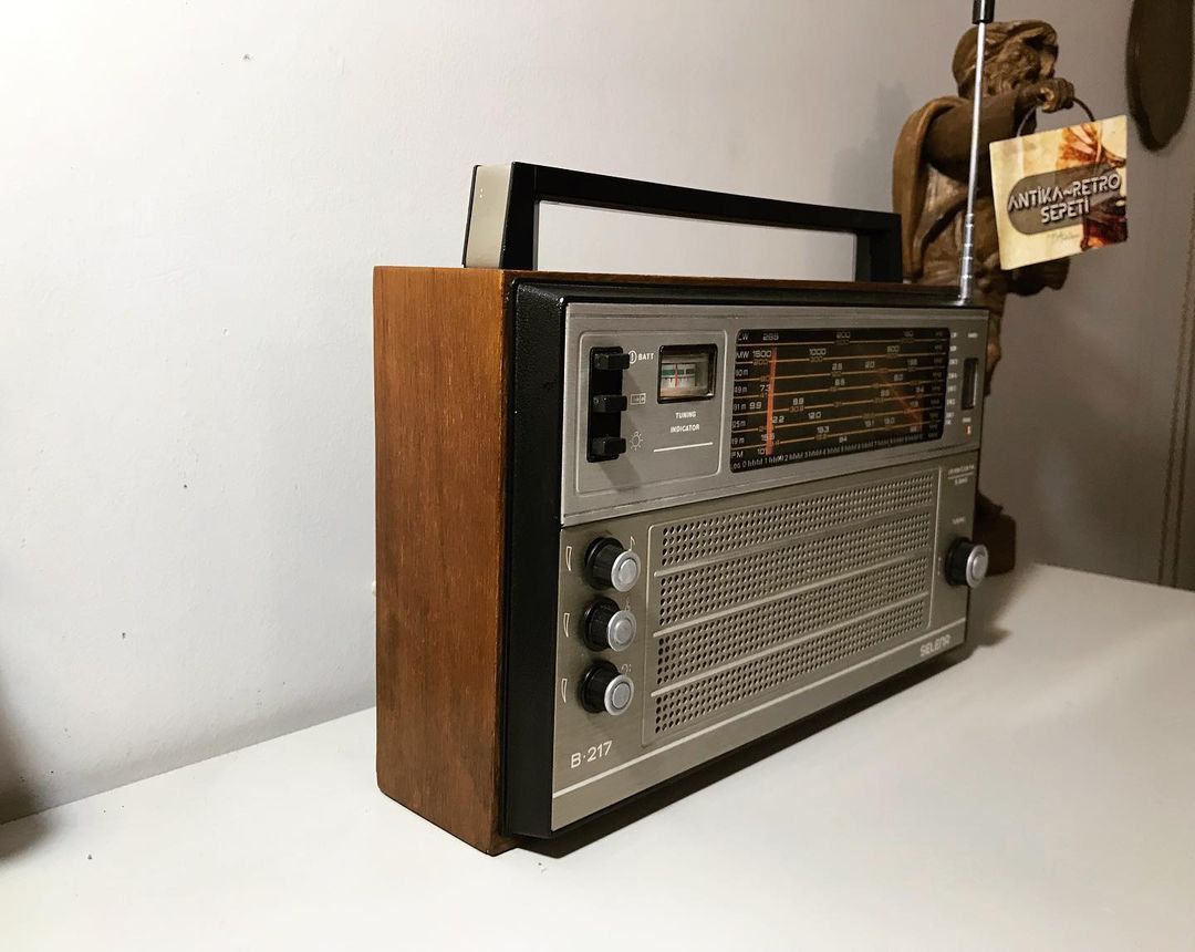 1980 USSR Antique Selena B-217 Wooden Case Vintage Radio