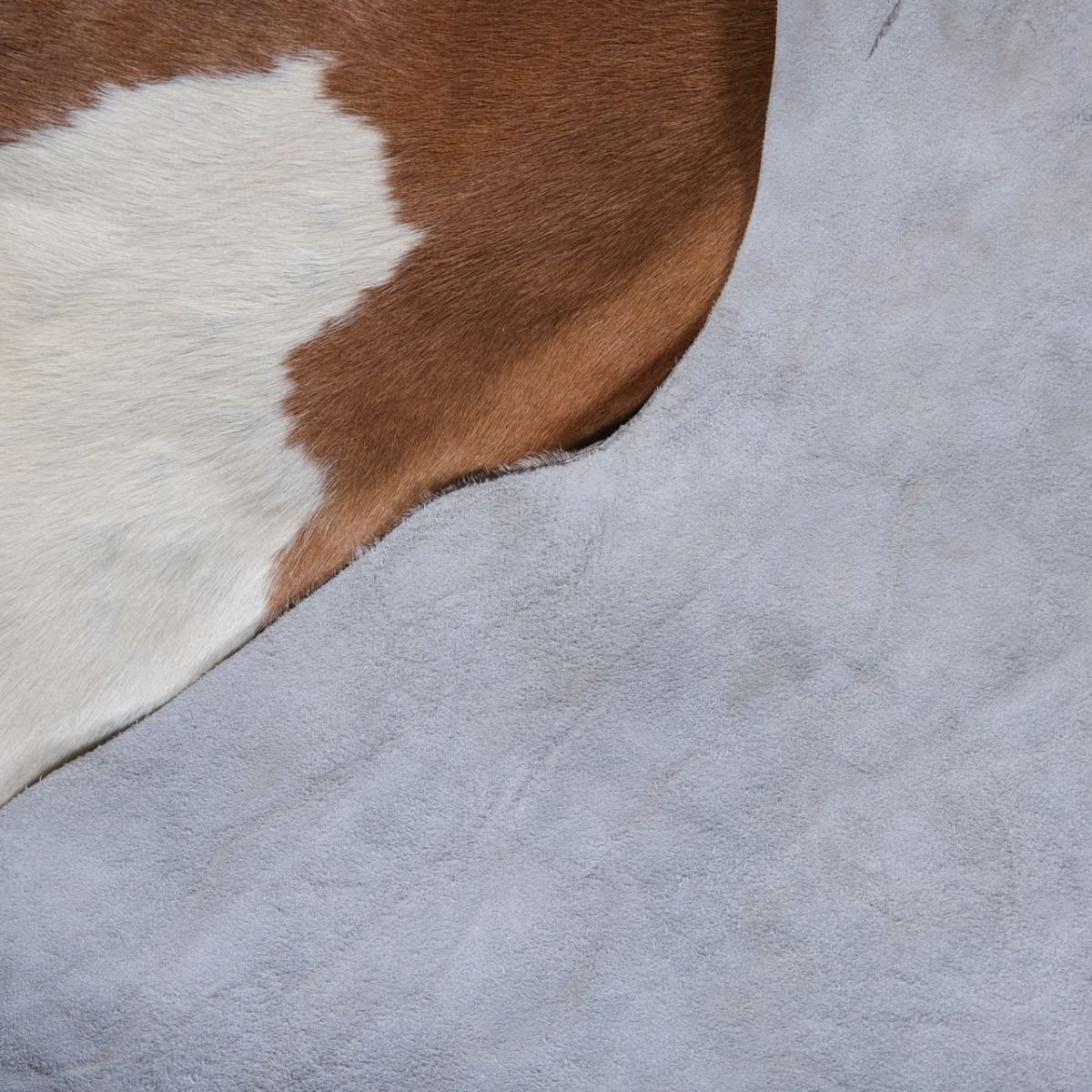 Orginal Genuine Animal Hide Rug, Animal Skin Rug