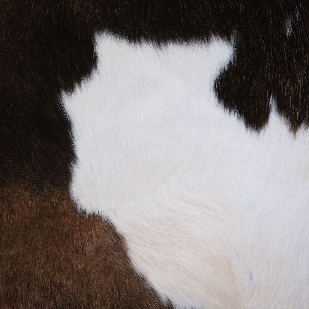 Orginal Genuine Animal Hide Rug, Animal Skin Rug