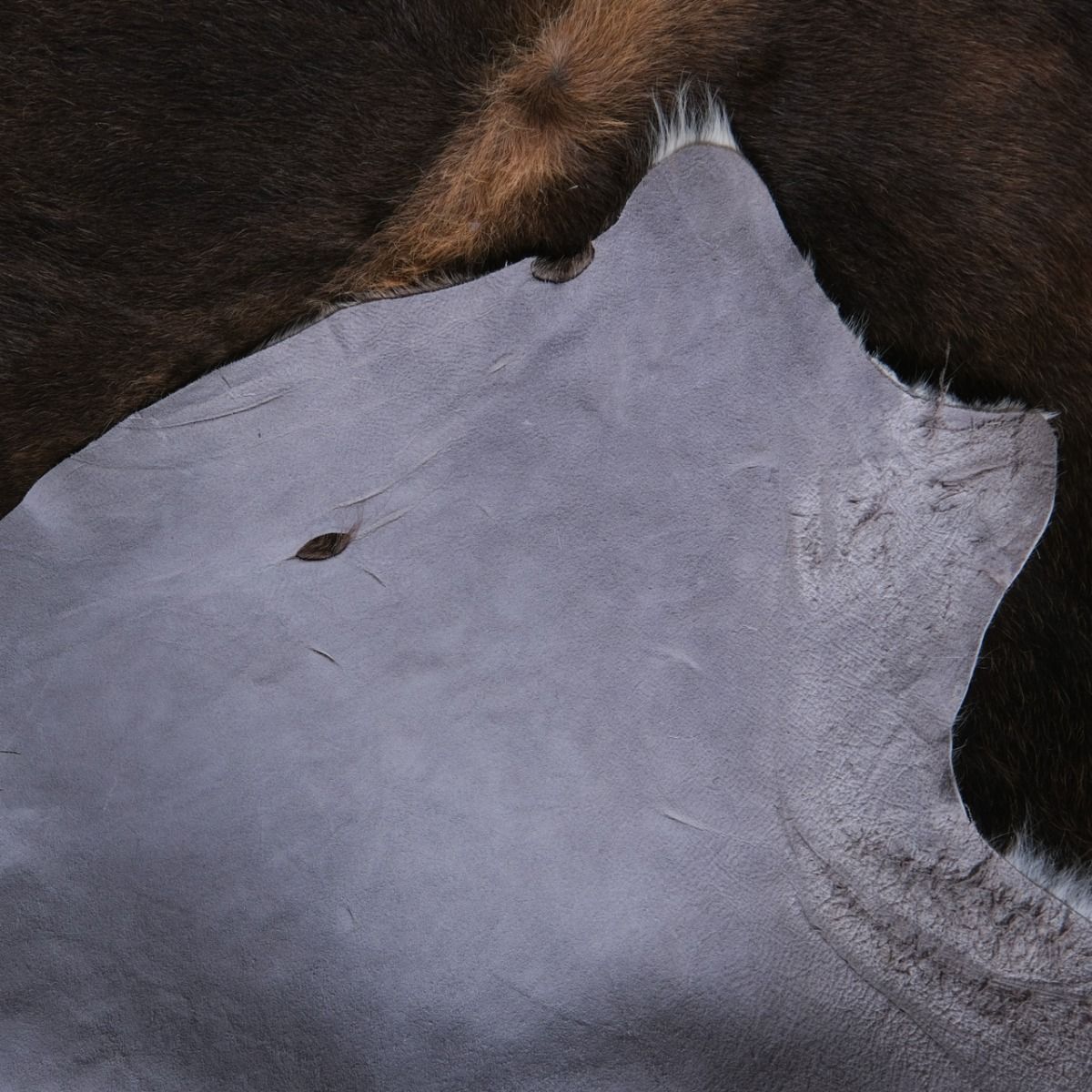 Orginal Genuine Animal Hide Rug, Animal Skin Rug